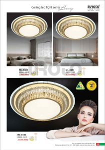 euroto trang ĐƠn 2026 page181