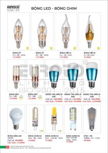 euroto trang ĐƠn 2026 page510